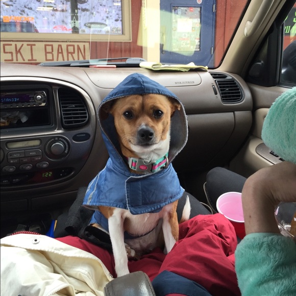 Meet your Posher, Johanna - Picture 3 of 7